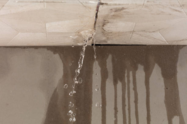 Professional Burst Pipe Cleanup technician working in Colonia, NJ
